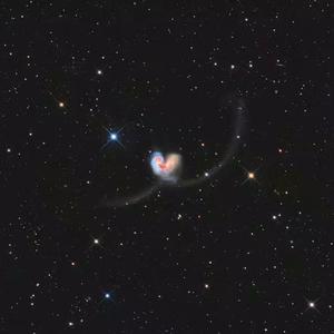 日本老太太毛耸耸
